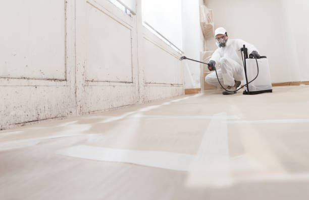 24/7 Emergency Mold Removal experts in Louisville, KY